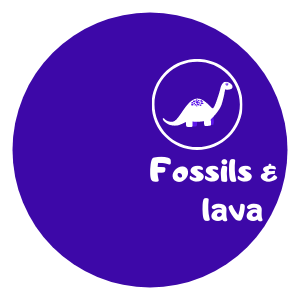 Logo Fossils and Lava Childcare Science Incursion
