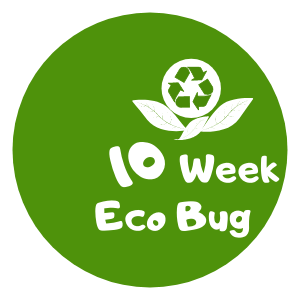 Logo EcoBUG 10 week program Childcare Sustainability Incursion