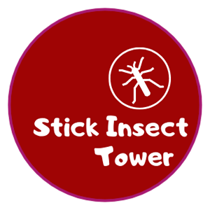 Logo Stick Insect Tower childcare and vacation care insect incursion